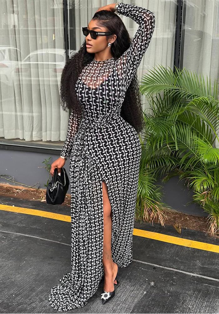 Robe Chic Femme Semi-Transparente Taille Fine Imprimée Col Montant Manches Longues Fente